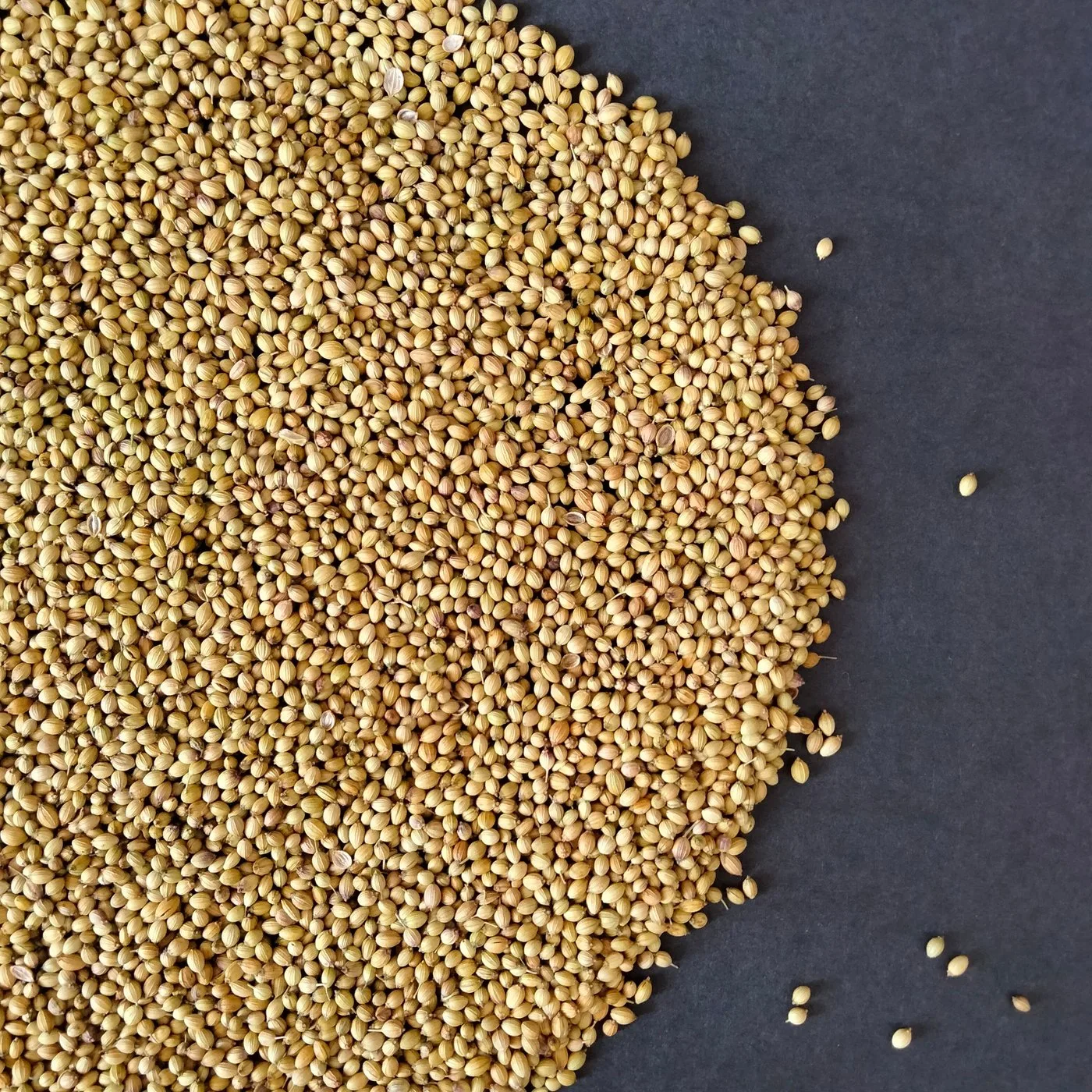 Coriander Powder - 200 g