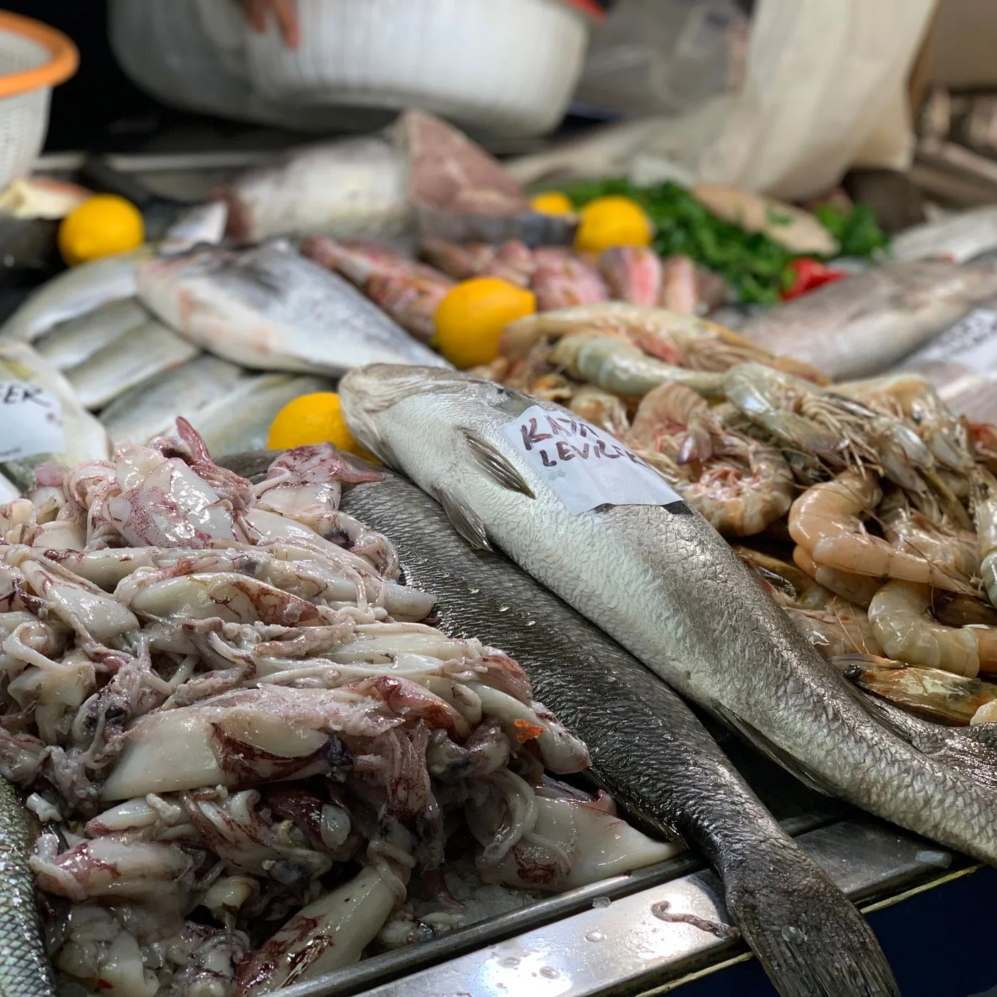 Cuttlefish (Cleaned) - 500 g