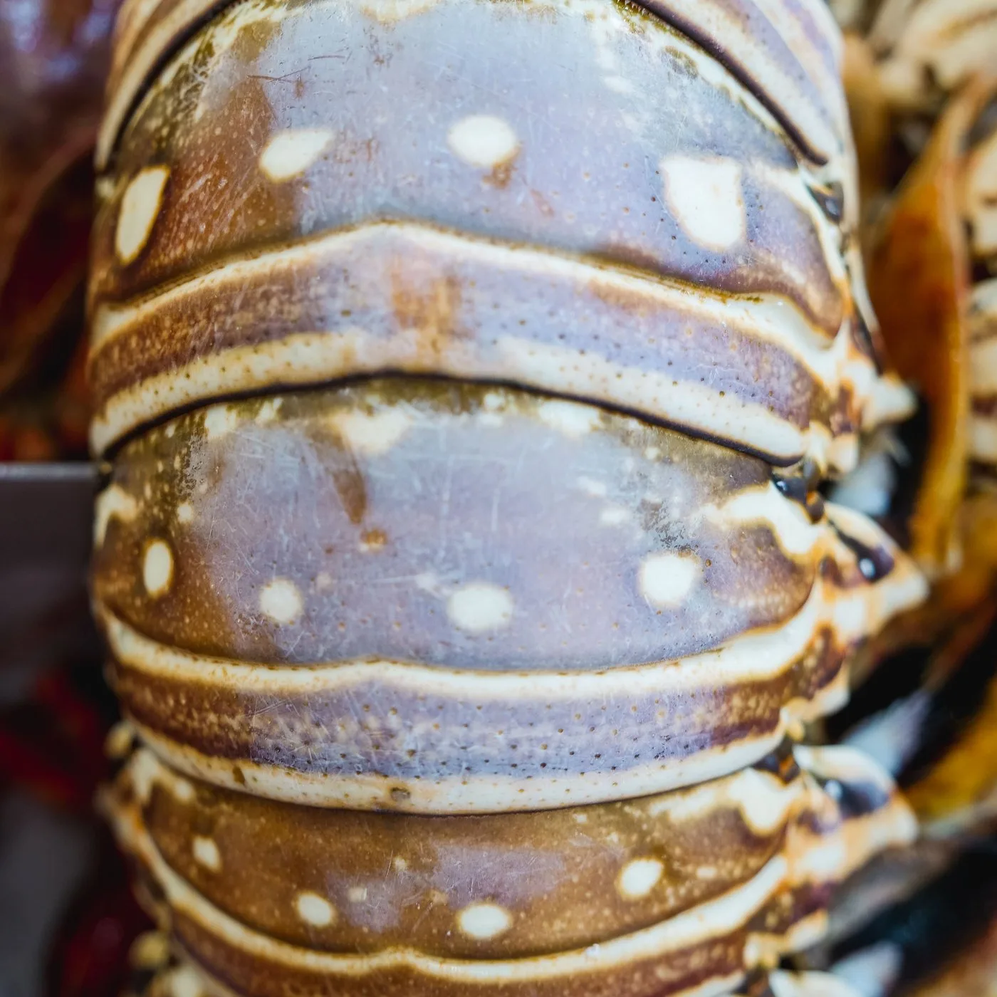 Lobster Tail - 300 g