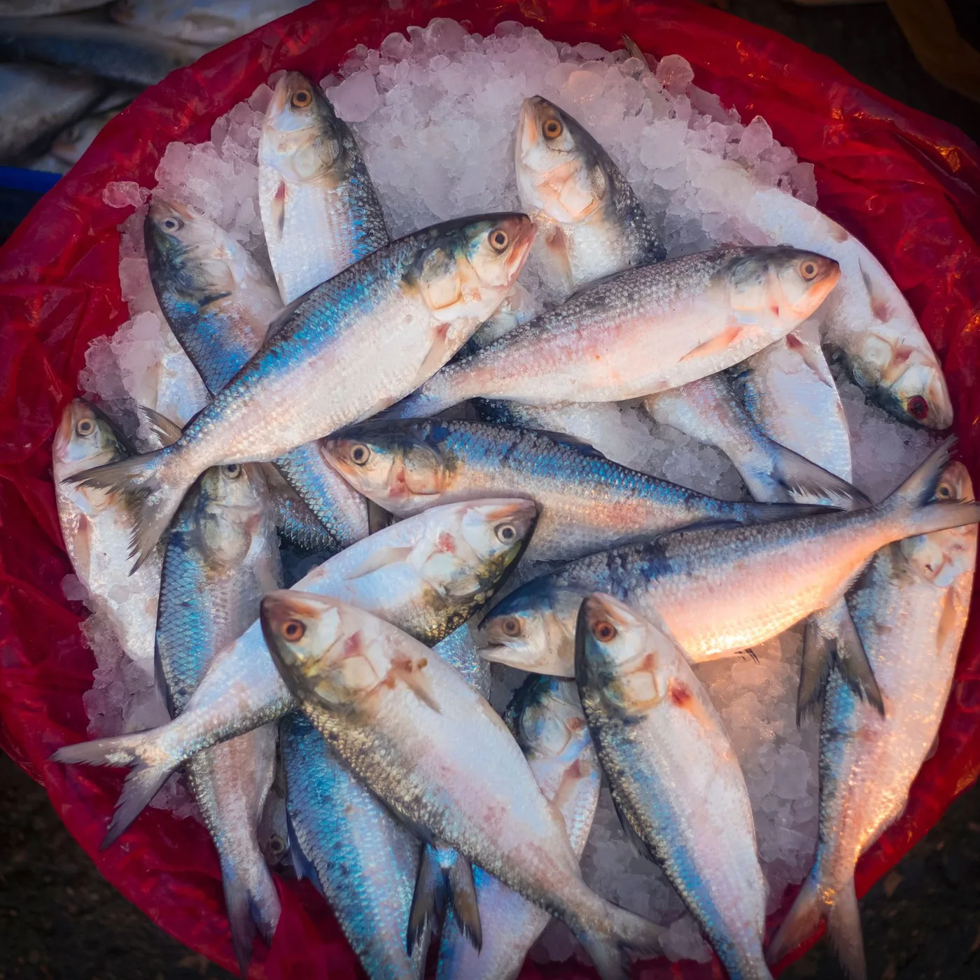 Mullet Whole (Madavai) - 500 g