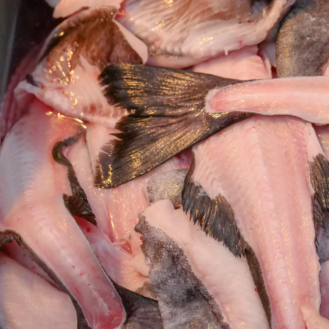 Sole Fish Fillet (Nangu) - 400 g