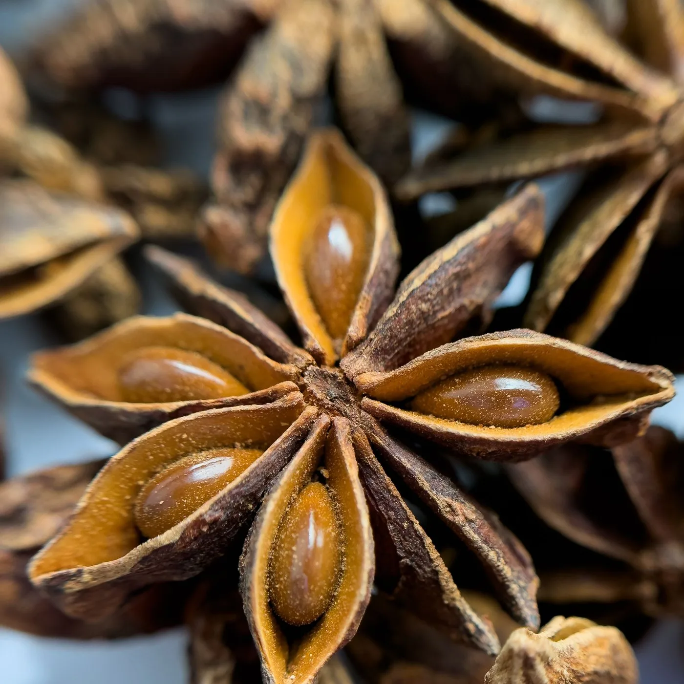 Star Anise (Chakra Phool) - 50 g