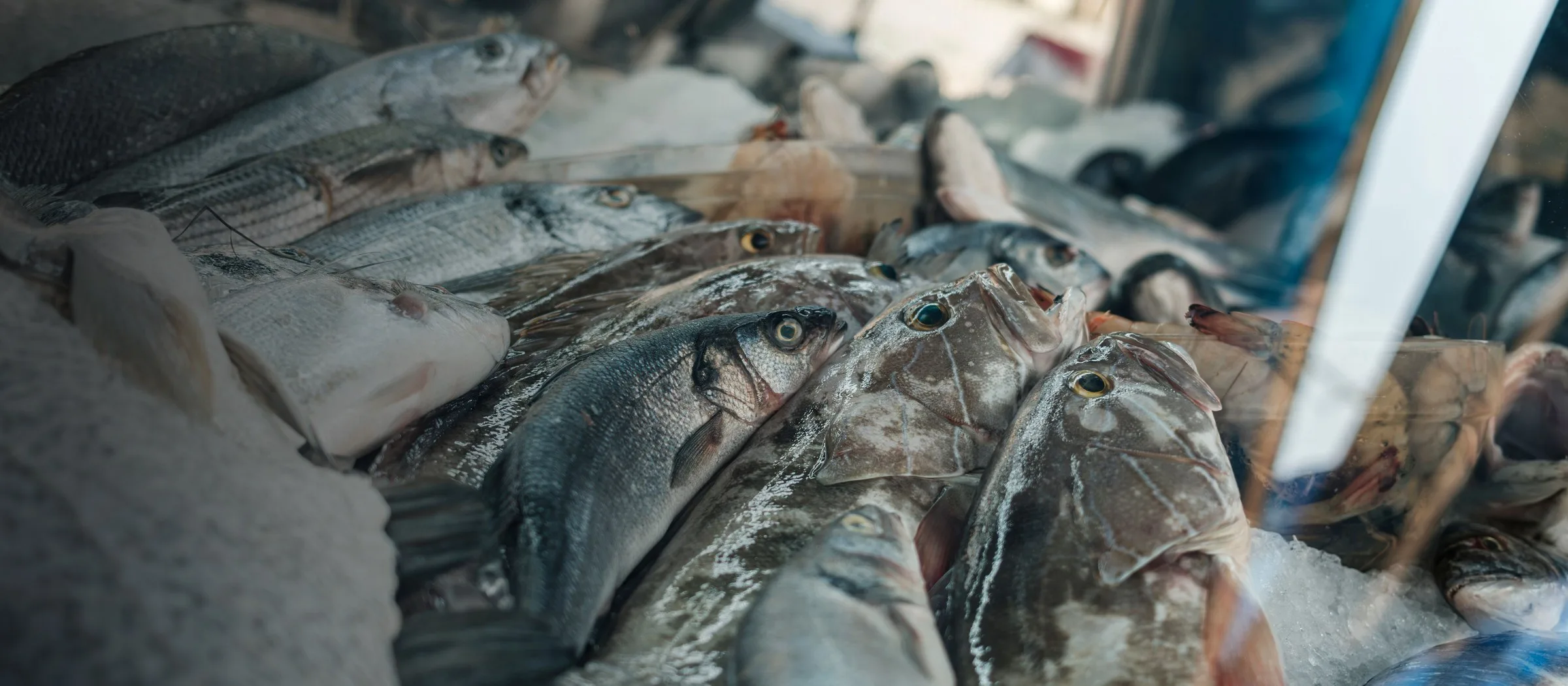 Fresh whole fish laid out on ice at a seafood counter